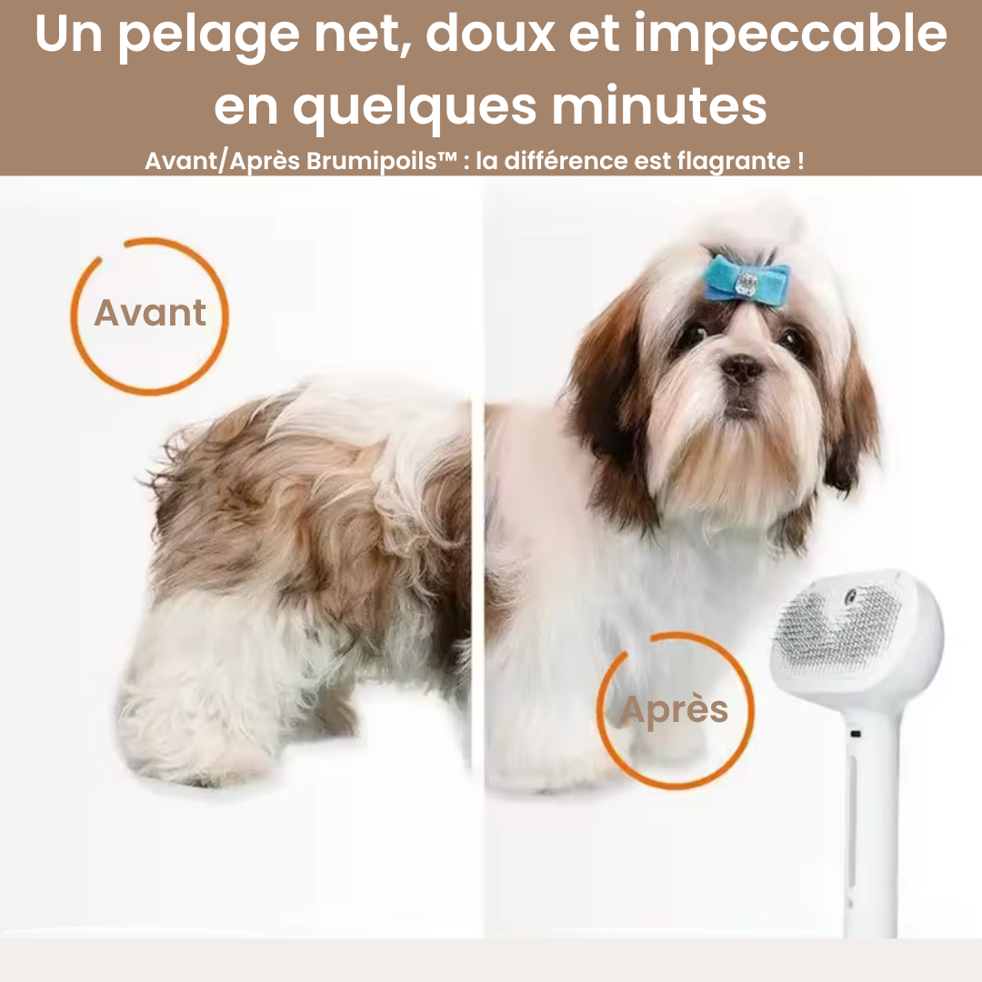 Brumipoils™ – La brosse 2-en-1 qui détend et démêle