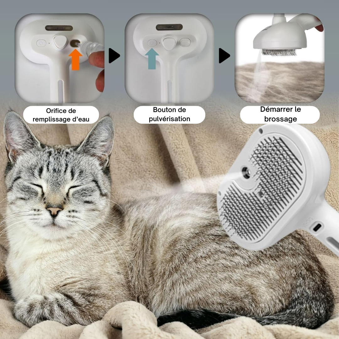 Brumipoils™ – La brosse 2-en-1 qui détend et démêle