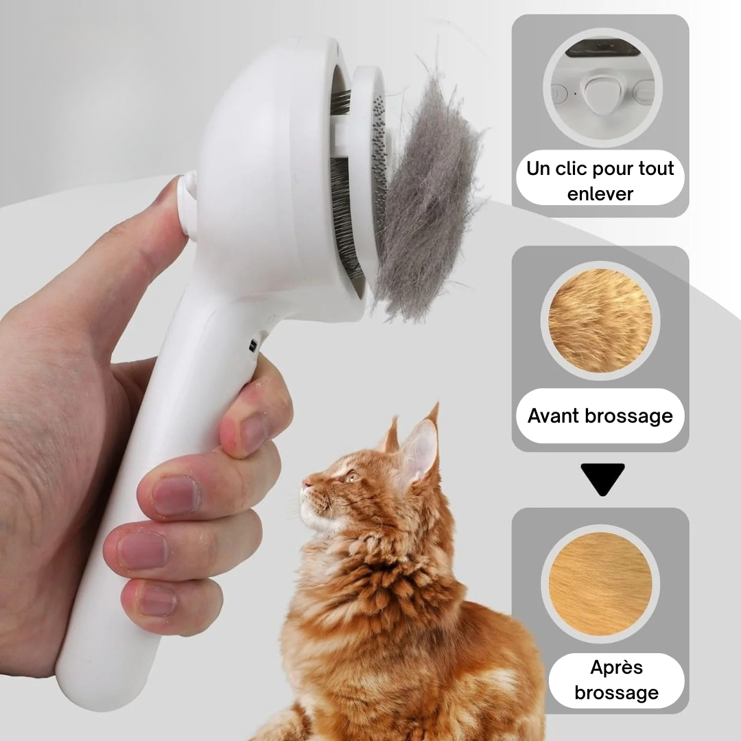 Brumipoils™ – La brosse 2-en-1 qui détend et démêle