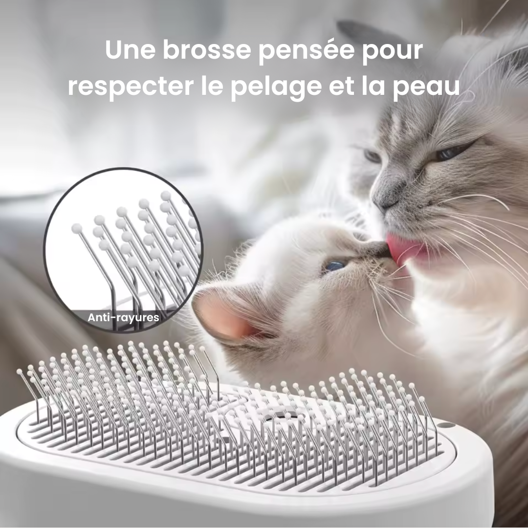 Brumipoils™ – La brosse 2-en-1 qui détend et démêle