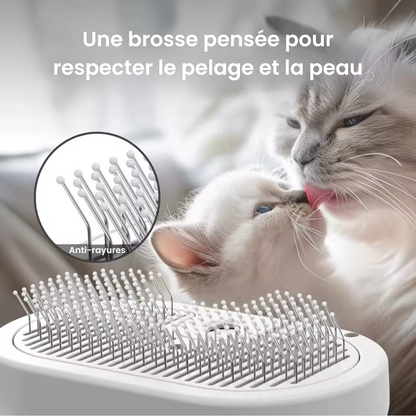 Brumipoils™ – La brosse 2-en-1 qui détend et démêle