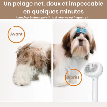 Brumipoils™ – La brosse 2-en-1 qui détend et démêle